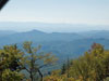 Eastward view from Grandfather Mountain