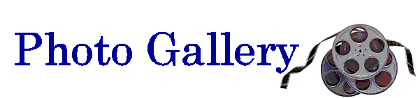 Photo Gallery