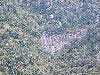 Distant view of a waterfall