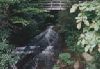 Wilson Creek