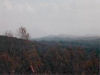 Facing northeast ontop of Walnut mountain
