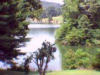 Closer view upstream.